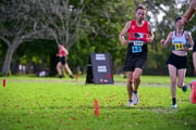 TIM_0368