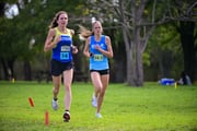 1_TIM_8284