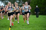 TIM_0455 TIM_0455