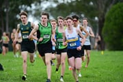 TIM_0410 TIM_0410
