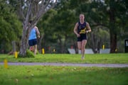 TIM_0388