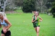 TIM_1661 TIM_1661