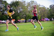TIM_0868