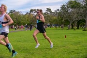 1_TIM_8128