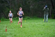 TIM_2608 TIM_2608