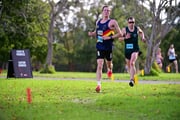 TIM_0417