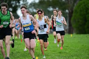 TIM_0412 TIM_0412