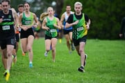 TIM_0498 TIM_0498