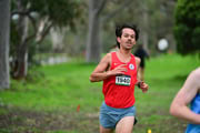 TIM_8026 TIM_8026