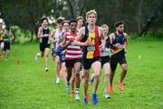 TIM_3874 TIM_3874