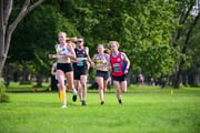 1_TIM_8743