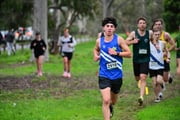 TIM_8544 TIM_8544