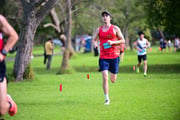 TIM_8880