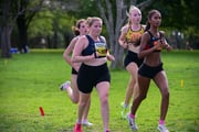 1_TIM_8337