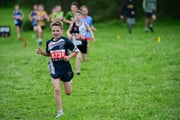 TIM_3316 TIM_3316