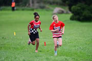 TIM_3073 TIM_3073