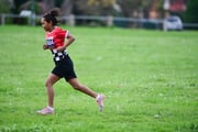 TIM_2596 TIM_2596