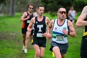 TIM_8089 TIM_8089