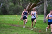 TIM_0268