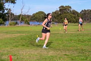 TIM_8491