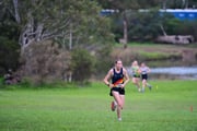 TIM_1733 TIM_1733