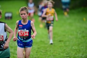 TIM_3374 TIM_3374
