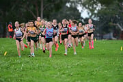 TIM_2531 TIM_2531