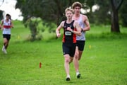 TIM_3920 TIM_3920