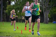 1_TIM_8207