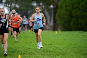 TIM_0533 TIM_0533