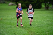 TIM_3650 TIM_3650