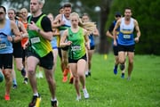 TIM_0508 TIM_0508