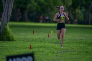 TIM_0275