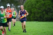 TIM_0565 TIM_0565