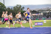 20260314-5DIV9739 20260314-5DIV9739