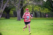 1_TIM_8310