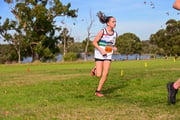 1_TIM_8564 1_TIM_8564