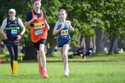 TIM_2981