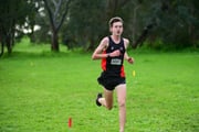TIM_3907 TIM_3907