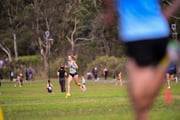1_TIM_7446