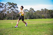 1_TIM_9369 1_TIM_9369