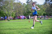 TIM_0778