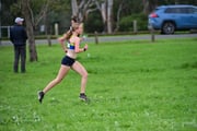 TIM_2047