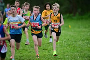 TIM_3297 TIM_3297