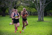 1_TIM_8331
