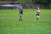 TIM_3102 TIM_3102