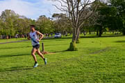 TIM_1261