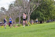 TIM_3056