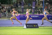 20260314-5DIV9857 20260314-5DIV9857