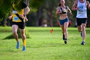 TIM_0511